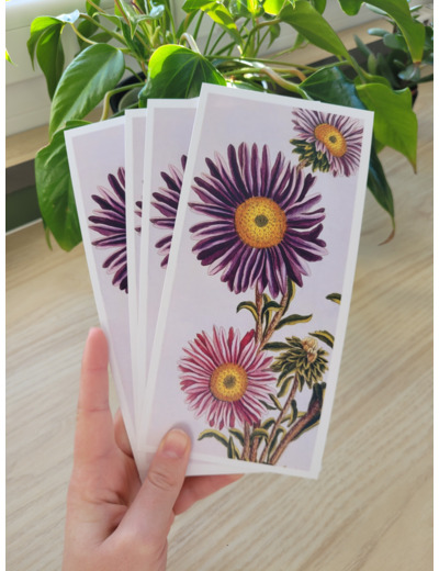 Carte fleur de naissance - Avril