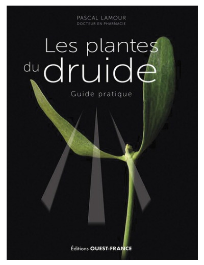 50 plantes du druide