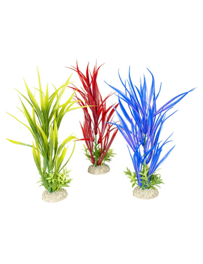 Plante "amazon sword" pour aquarium - 30CM