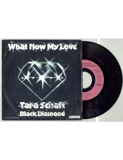 45 Tours TARA SCHAFT BLACK DIAMOND "NEW YORK CITY DREAM" / "WHAT NOW MY LOVE"