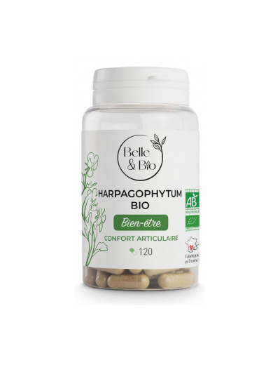 Harpagophytum Bio 120 gélules 42.7g