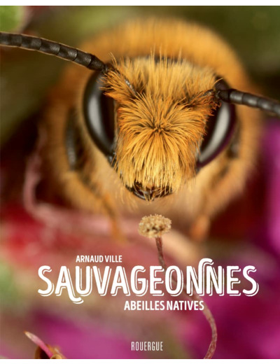 SAUVAGEONNES - ABEILLES NATIVES