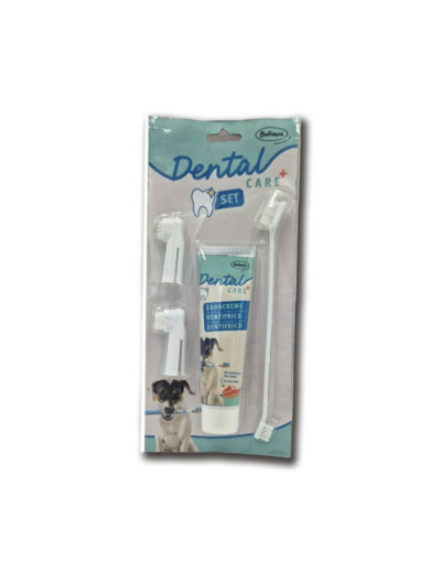 Kit dentifrice pour chiens