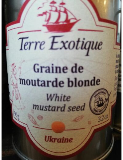 Graine de moutarde blonde