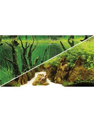 Poster Canyon / Woodland - 100 X 50 cm