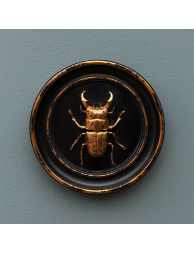Cadre scarabée résine noir et doré 20cm