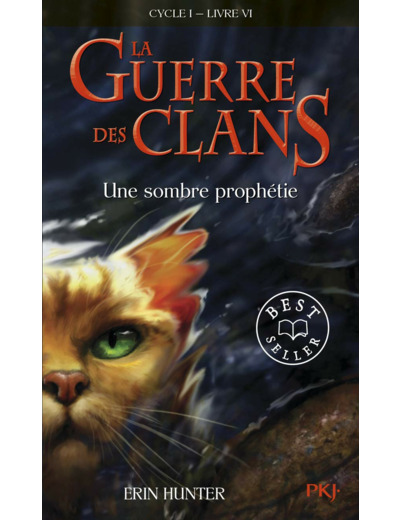 LA GUERRE DES CLANS - CYCLE I - TOME 6 UNE SOMBRE PROPHETIE -POCHE-