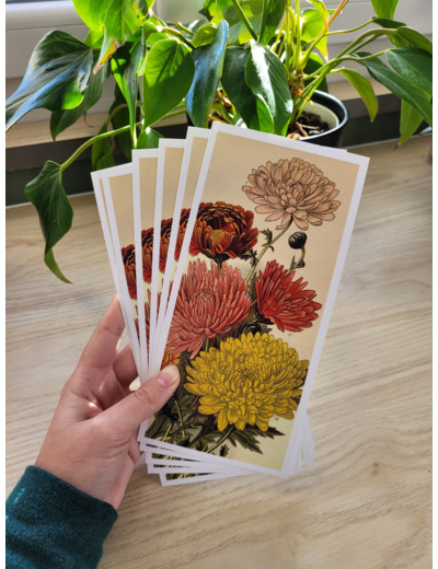 Carte fleur de naissance - Novembre