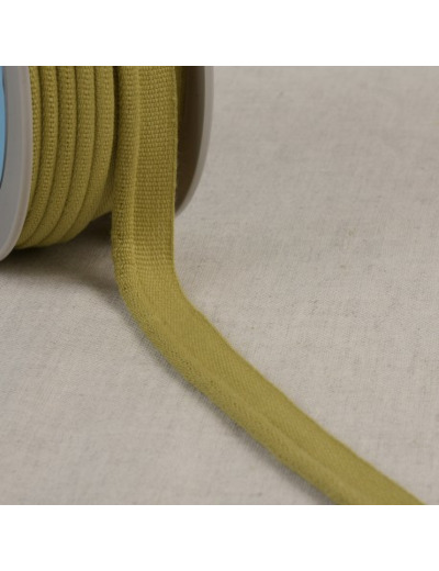 SIMPLE PASSEPOIL VERT BEIGE 519C154 ML (20m)