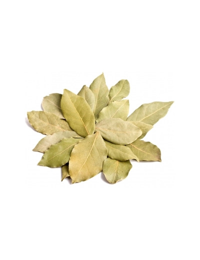 Laurier Sauce Feuille entière Bio 100g
