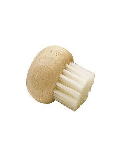 BROSSE A CHAMPIGNONS HEVEA ET NYLON