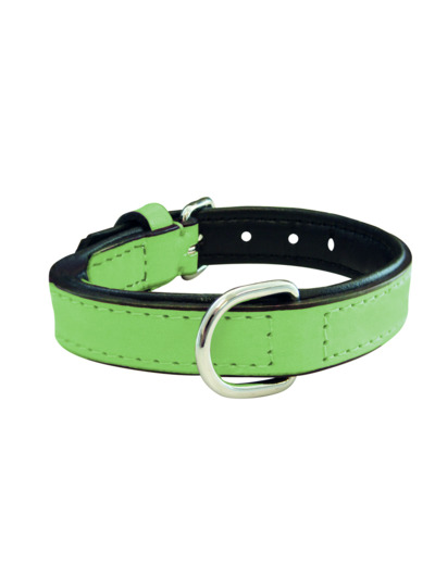 Collier en cuir, vert pour chiens - 40 cm x 20 mm