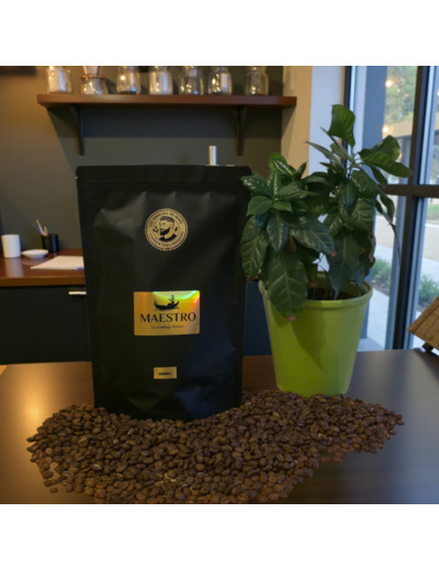 Maestro - Assemblage Italien