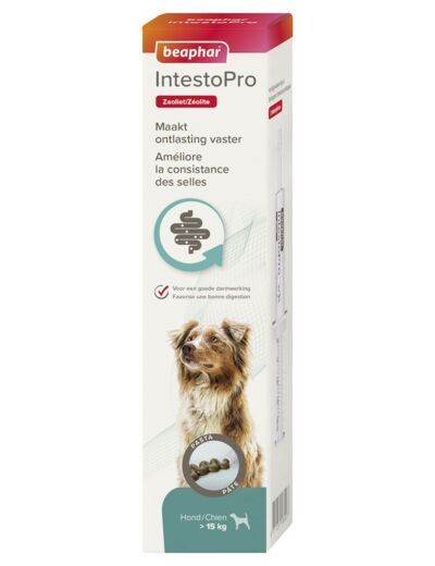 IntestoPro, pour Chien +15 kg