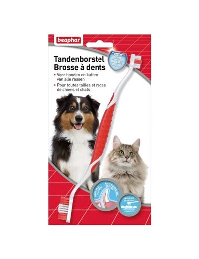 Brosse à dents haleine fraîche pour chien et chat