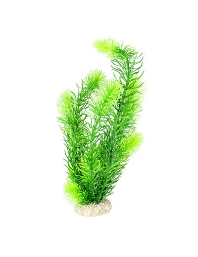 Plante artificielle "hornwort" pour aquarium - 32cm