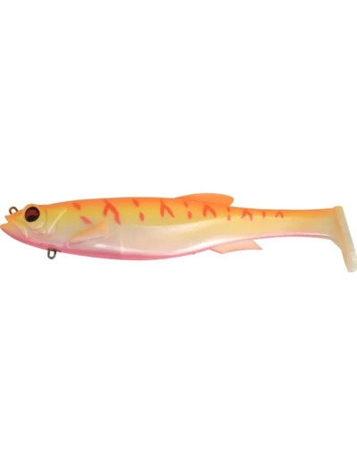 mag draft 8' albino tiger
