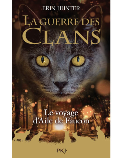 GUERRE DES CLANS - HORS-SERIE - TOME 9 LE VOYAGE D'AILE DE FAUCON - VOL09