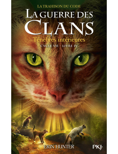 GUERRE DES CLANS - CYCLE VII - TOME 4 TENEBRES INTERIEURES - VOL04