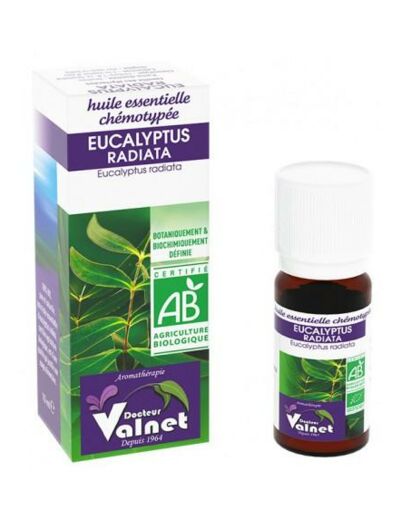 Eucalyptus Radiata ou Radie bio-10ml-Dr.Valnet