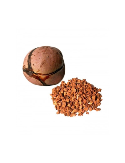 Kolatier Graine Dite Noix de Kola tisane 100gr