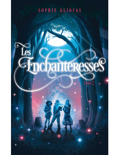 LES ENCHANTERESSES - TOME 2 - LES DISPARUES DE CHATEAUBRIAND