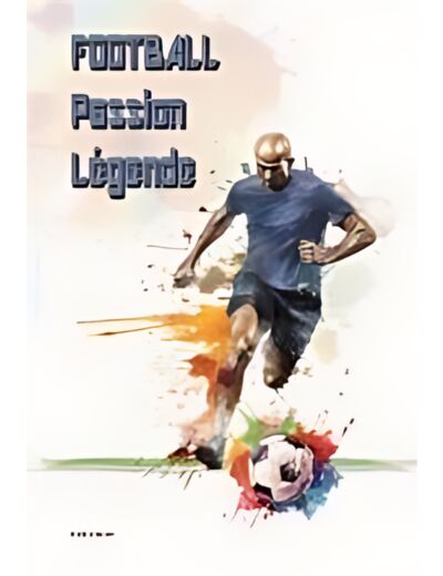 Plaque métal Football Passion Legende - 20 x 30 cm.