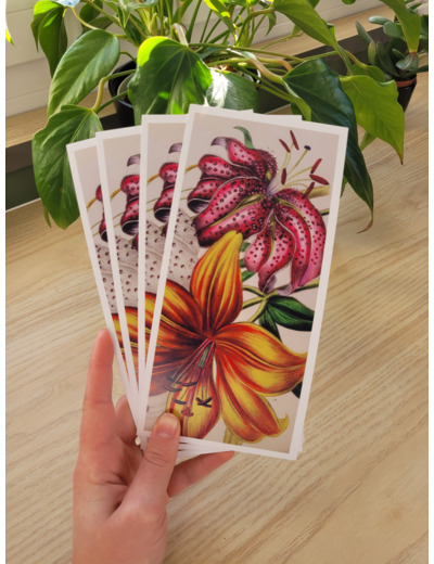 Carte fleur de naissance - Mai