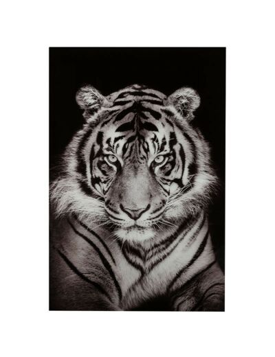 Décoration murale tigre verre trempe noir blanc 150x100x2cm
