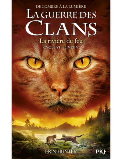 GUERRE DES CLANS, CYCLE VI - TOME 5 LA RIVIERE DE FEU - VOL05