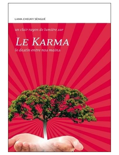 Le Karma - Le destin entre nos mains