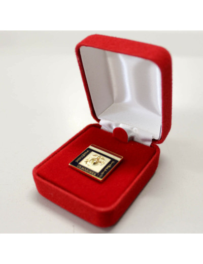 Bouton de revers du Corps des Marines