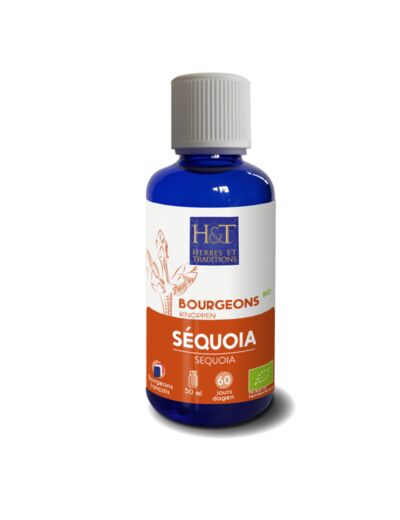 Bourgeon de Séquoia bio-50ml-Herbes et Traditions