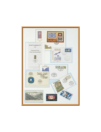 ETUIS POUR BILLET 0 EURO TOURISTIQUE 140 X 80 MM 893 par 100 (lindner)