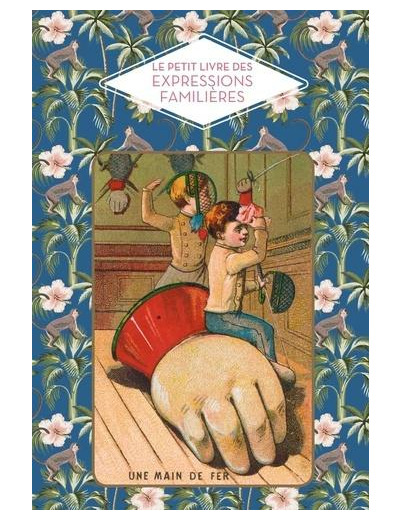 Le petit livre des expressions familières