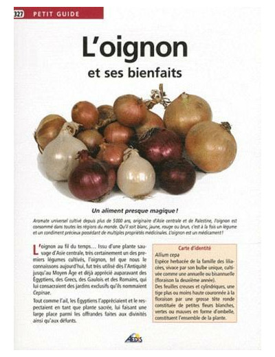 L'oignon et ses bienfaits