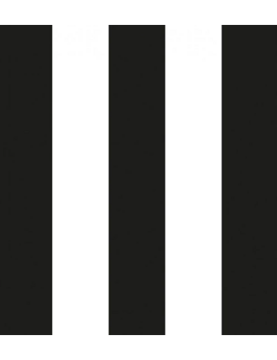 Velours Soft rayé noir et blanc laize 150cm 60000 tours martindale