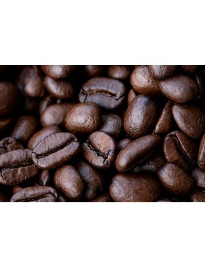 Café en grains BIO
