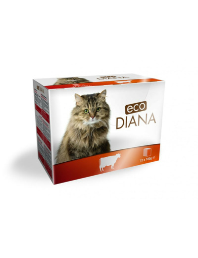 ECO DIANA, Pack émincés de boeuf en sauce - 12 x 100g