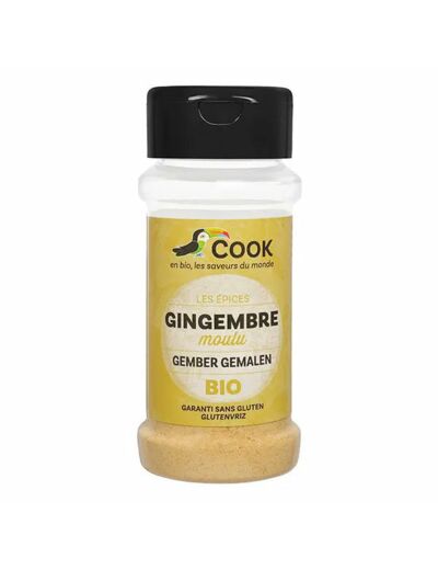 Gingembre Bio en poudre-30g-Cook