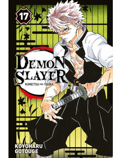 DEMON SLAYER T17