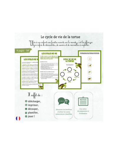 Cycles de vie