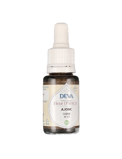 Ajonc n°13 15ml