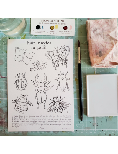 Affichette - Huit insectes du jardin à peindre