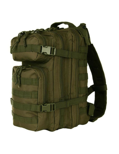 Sac à dos US Assaut (25L)