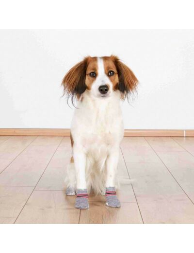 Chaussettes pour chien x2 - 4 tailles