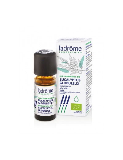 Eucalyptus Globuleux Bio 10ml