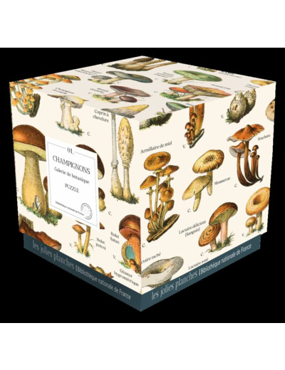 PUZZLE CHAMPIGNONS 1000 PIECES