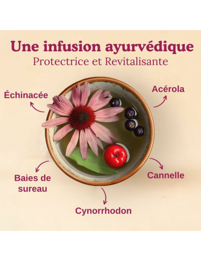 Tisane defenses naturelles 17x2g Yogi Tea
