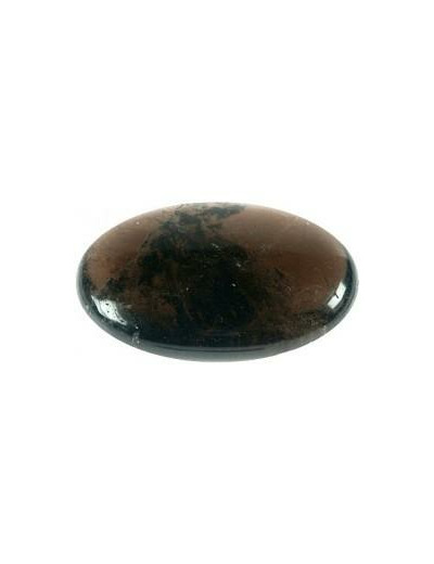 Galet en Shungite